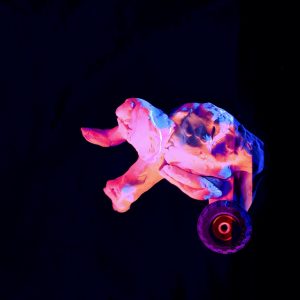 On découvre ici l’œuvre Elephandicapé. On y voit un éléphant, aux couleurs à dominante rose, de profil et dressé sur ses pattes arrière. Il est tourné vers la gauche. En réalité, il n’a pas de pattes arrière, mais semble être monté sur des roues. L’éléphant est présenté sur un fond noir ; l’œuvre est pourtant assez joyeuse.